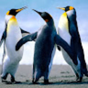 Meet your Posher, Eber